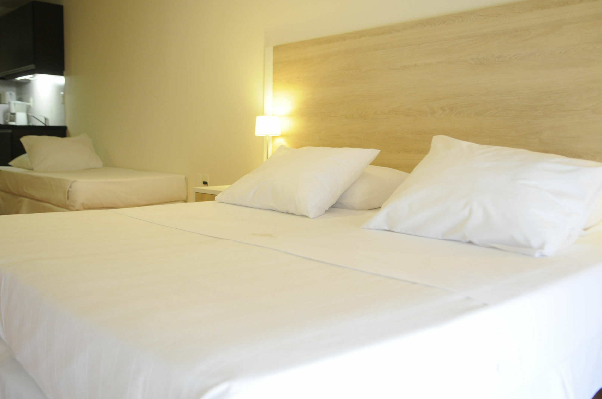Massini Suites Montevideo Bagian luar foto